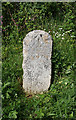 Old Boundary Marker by the B3042, Labbett