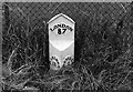 Old Milestone by the A361, Bishops Cannings