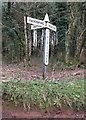 Old Direction Sign - Signpost by Vials Corner, Stoodleigh