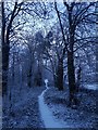 SE6251 : Path through the woods by DS Pugh