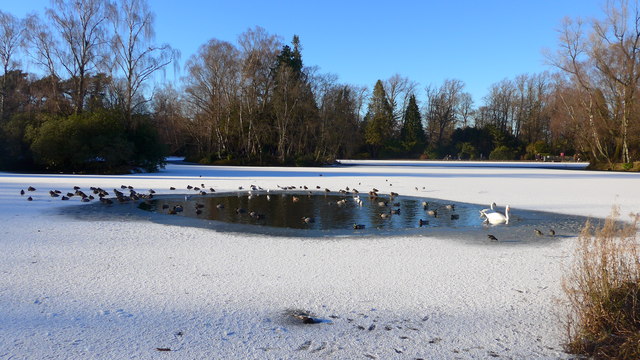 Partly frozen boating lake at Rouken Glen Park