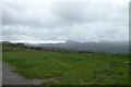 Low cloud and fields beside the road