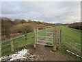 Gate on the river bank