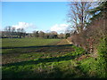 Field off Pedley Lane, Clifton