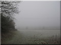 Frozen field below Meadow Bank