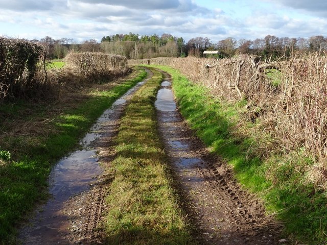 Green lane at Munsley