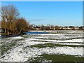 SP4809 : A River Thames backwater by Port Meadow by Steve Daniels