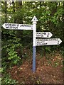 SCC fingerpost, The Avenue, Crowcombe Heathfield