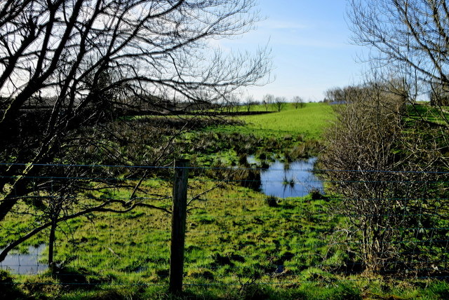 swampy-ground-reaghan-kenneth-allen-cc-by-sa-2-0-geograph-ireland