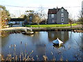 Duck pond at Newlands Farm