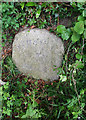 Old Milestone by Launceston Road, Stone Farm