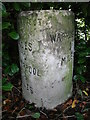 Old Milestone by the A57, Liverpool Road, Great Sankey