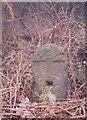 Old Milestone by the A631, Tickhill Road, Bawtry