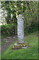 Old Wayside Cross - moved to Manaton churchyard