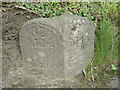 Old Milestone by the A3124, St Giles in the Wood parish