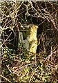 Old Milestone by the former A358, near Jordan