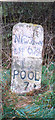 Old Milestone by the A483, Fron, Berriew parish