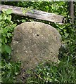 Old Milestone by the A268, Rye Road, Morfey Wood