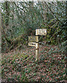 Old Direction Sign - Signpost