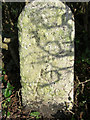 Old Milestone by the B3380, Buckfast Road, Ashburton