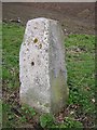 Old Milestone by the A137, Harwich Road, Ardleigh parish