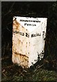 Old Milepost by the A461, Walsall Road, Hammerwich parish