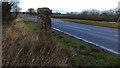 Old Wayside Cross by the A684, Casling Hill, Crakehall