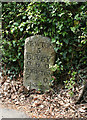 Old Milestone by Newton Road, Bovey Tracey