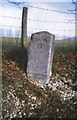 Old Milestone by the A2, Dover Road, Bishopsbourne parish