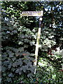 Old Direction Sign - Signpost by Mill Lane, Willaston