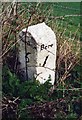 Old Milestone by Cow Drove, southeast of Bere Regis