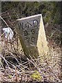 Old Boundary Marker west of Cupid