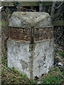 Old Boundary Marker by the A659, Newton Kyme