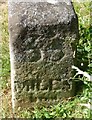 Old Milestone by High Street, the B197, Graveley parish