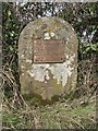 Old Milestone by the B4363, south of Wall Town, Neen Savage parish