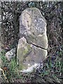 Old Milestone by the B4365, Seifton, Culmington parish