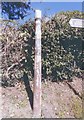 ST6733 : Old Direction Sign - Signpost by Sunny Hill, Pitcombe parish by Milestone Society