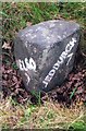 Old Milestone by Fountain Head, Eckford parish