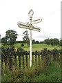 SJ4133 : Old Direction Sign - Signpost by Milestone Society
