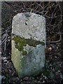 Old Milestone by the A131, Bulmer parish