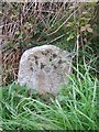 Old Milestone by the Old Military Road, Easthill, Lochrutton parish