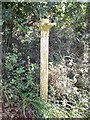 Old Direction Sign - Signpost east of Treworthal, Philleigh parish