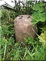 Old Milestone by the A841, Torbeg, Kilmory parish, Arran