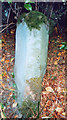 Old Milestone opposite Newbigging Bush, Oxnam parish