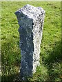 Old Boundary Marker Southeast of Great Mis Tor, Dartmoor Forest parish