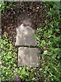 Old Milestone by the B3349, near Greenmount Farm, Alton parish