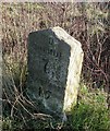 Old Milestone by the A354, near Grimsdyke Granaries, Martin parish