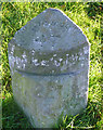 Old Milestone by the B2215, Portsmouth Road, Ripley parish