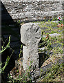 Old Wayside Cross - moved - Eglosayle churchyard