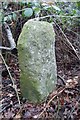 Old Milestone in Belhus Woods Country Park, Aveley parish